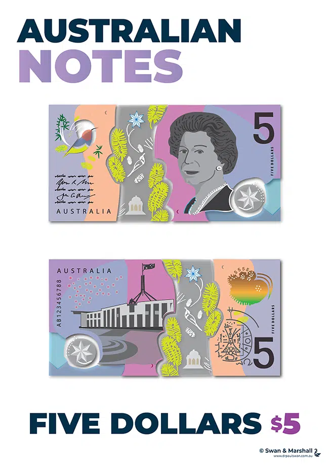 22 Notes Posters - Australian Money Posters (Download) - Image 3