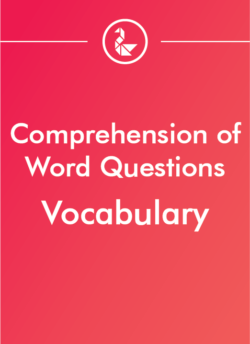 Video PL: Comprehension of Word Questions 1 – Vocabulary
